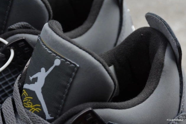 Cool Grey 308497-007 Jordan Retro (2019) Air 4 0711
